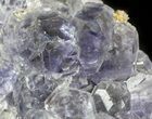 Blue-Purple Fluorite Crystals with Quartz - China #46163-2